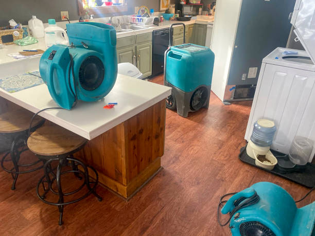 Reliable Newburg, WI Water damage restoration Solutions