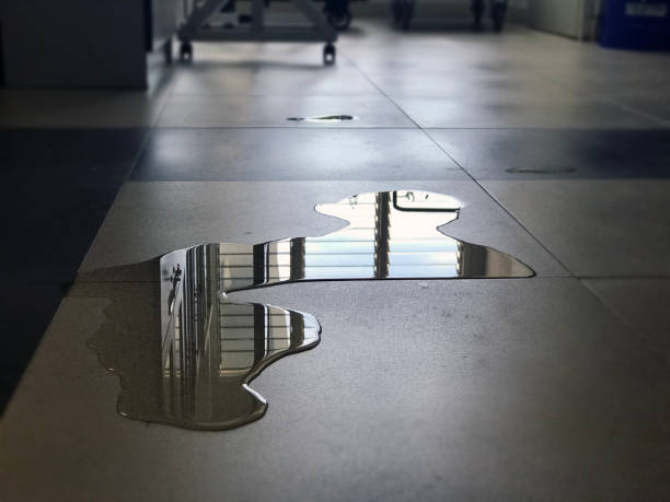 Best Water damage cleanup near me  in Newburg, WI