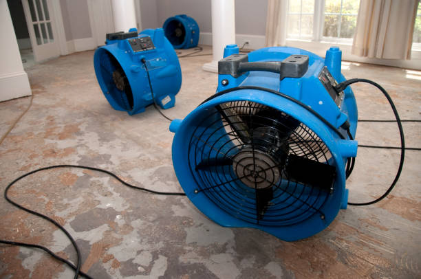 Best Ceiling water damage repair  in Newburg, WI