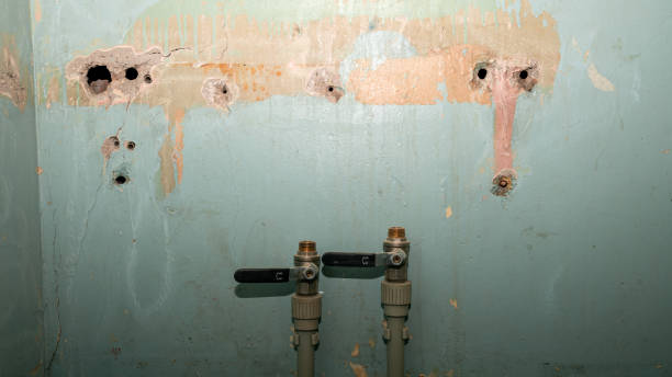 Best Residential water damage restoration  in Newburg, WI