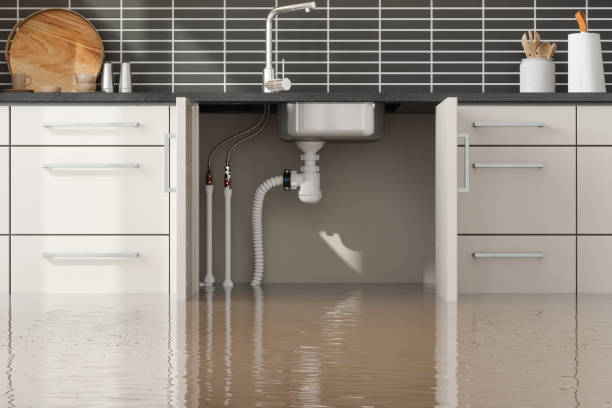 Best Water damage restoration near me  in Newburg, WI
