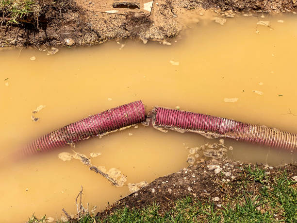 Best Flood restoration services  in Newburg, WI