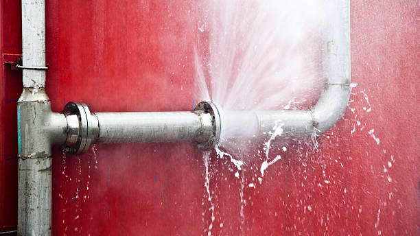 Best Sewage cleanup and water damage restoration  in Newburg, WI