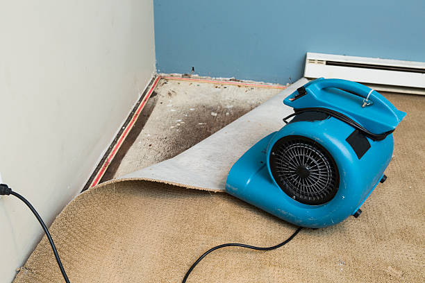 24/7 water damage repair in Newburg, WI