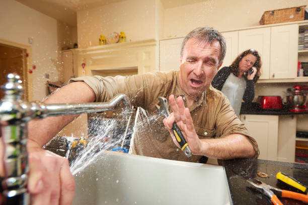 Best Professional water damage repair  in Newburg, WI